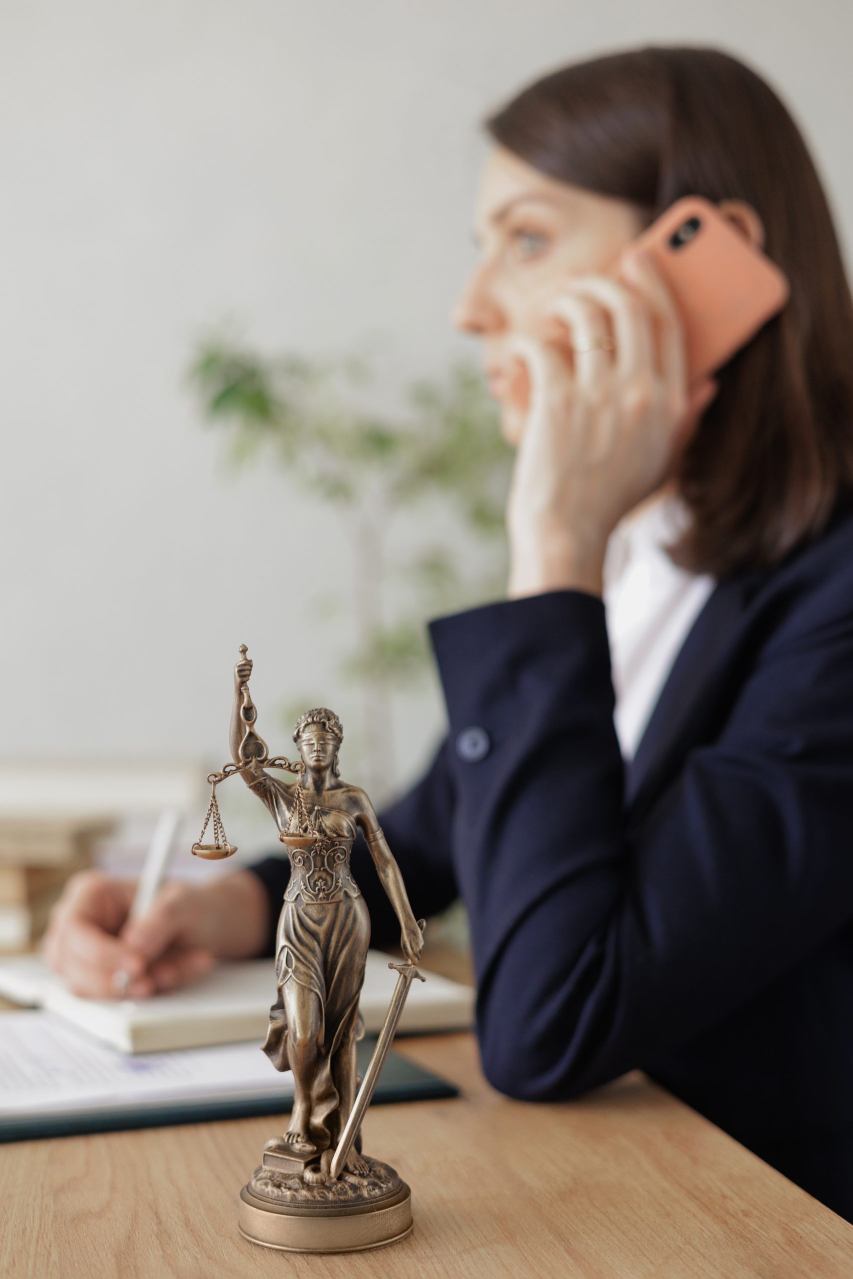 Abogado especializado en Derecho Int Privado Alcoy
