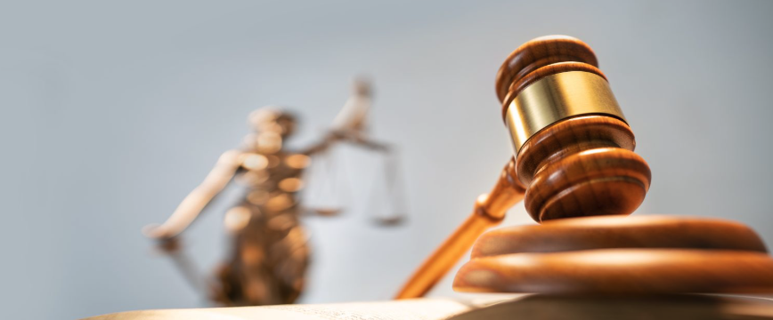 derecho penal molina de segura